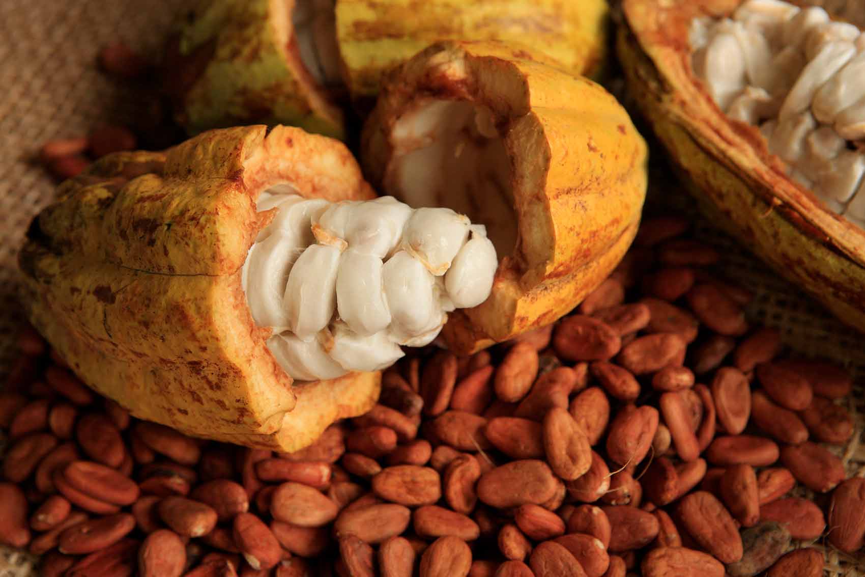 MPI, importante eje articulador del turismo de reuniones