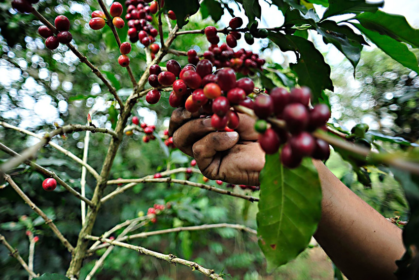 La-Gran-Escapada-Colima
