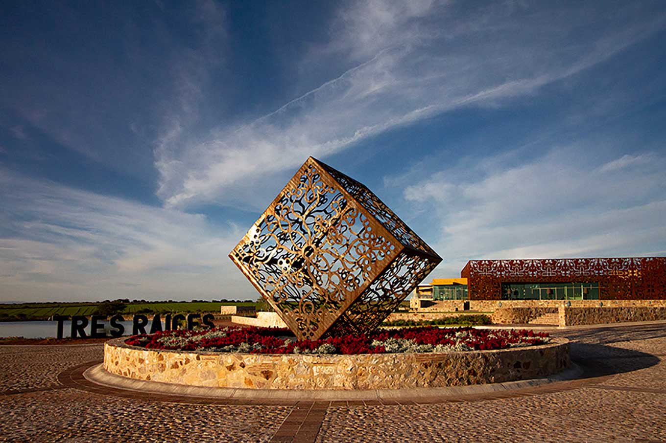 Vinos-Guanajuato-Concurso-Mundial-de-Bruselas