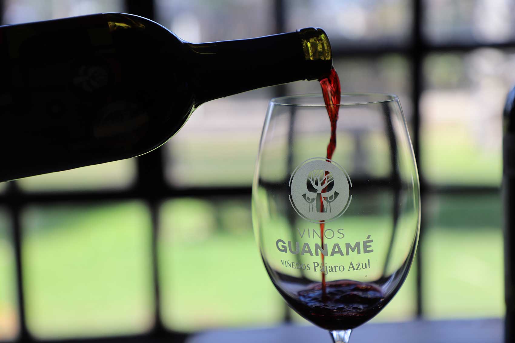 Vinos-Guanajuato-Concurso-Mundial-de-Bruselas