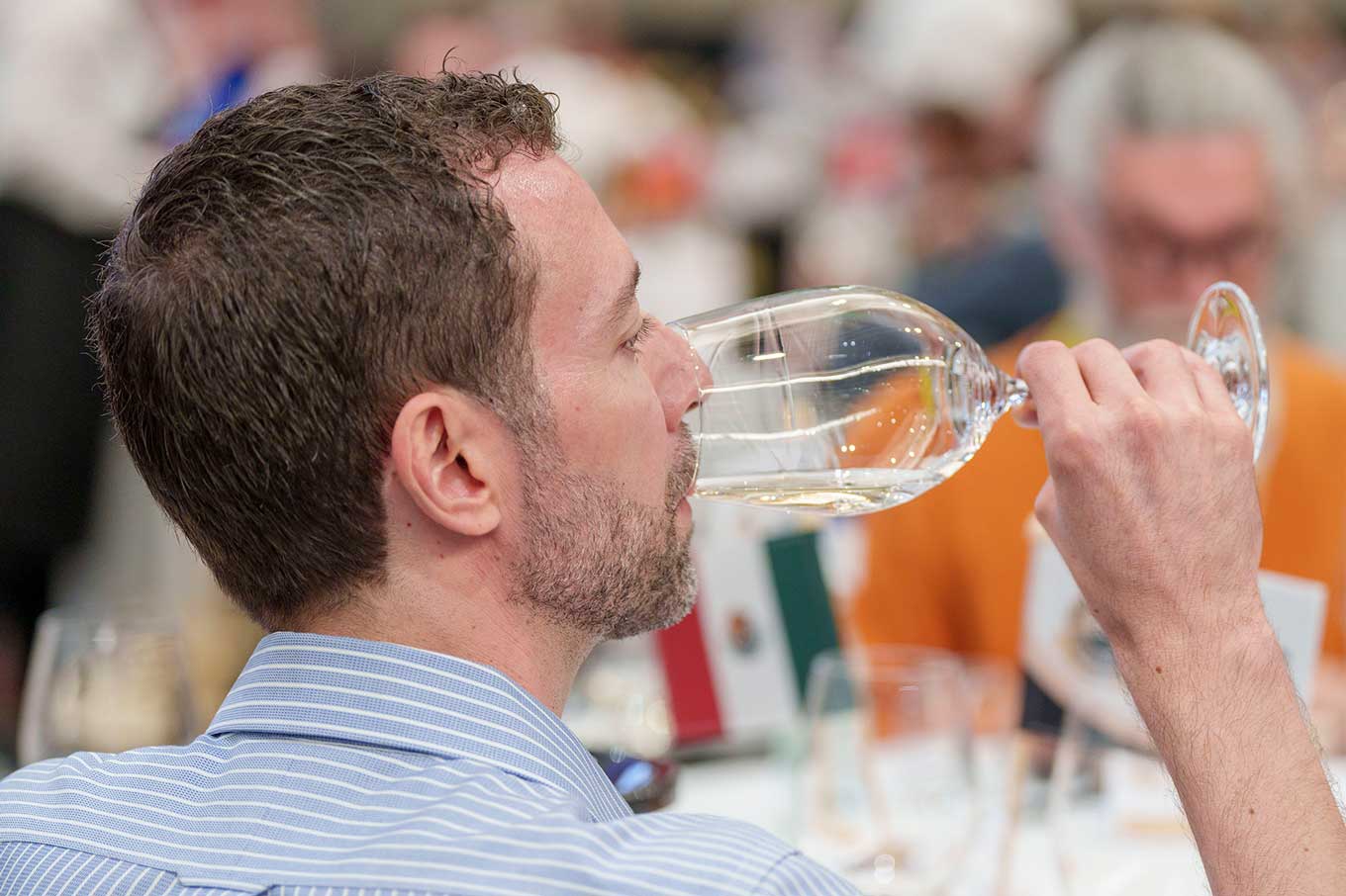 Vinos-Guanajuato-Concurso-Mundial-de-Bruselas