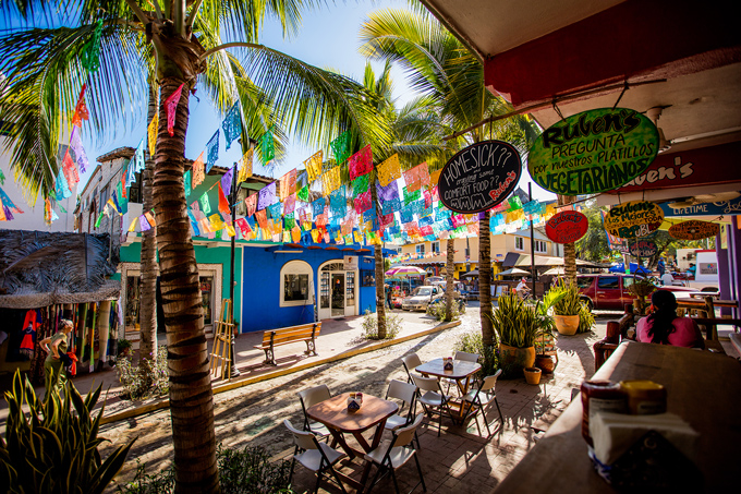 Lugares-pet-Friendly-Nayarit