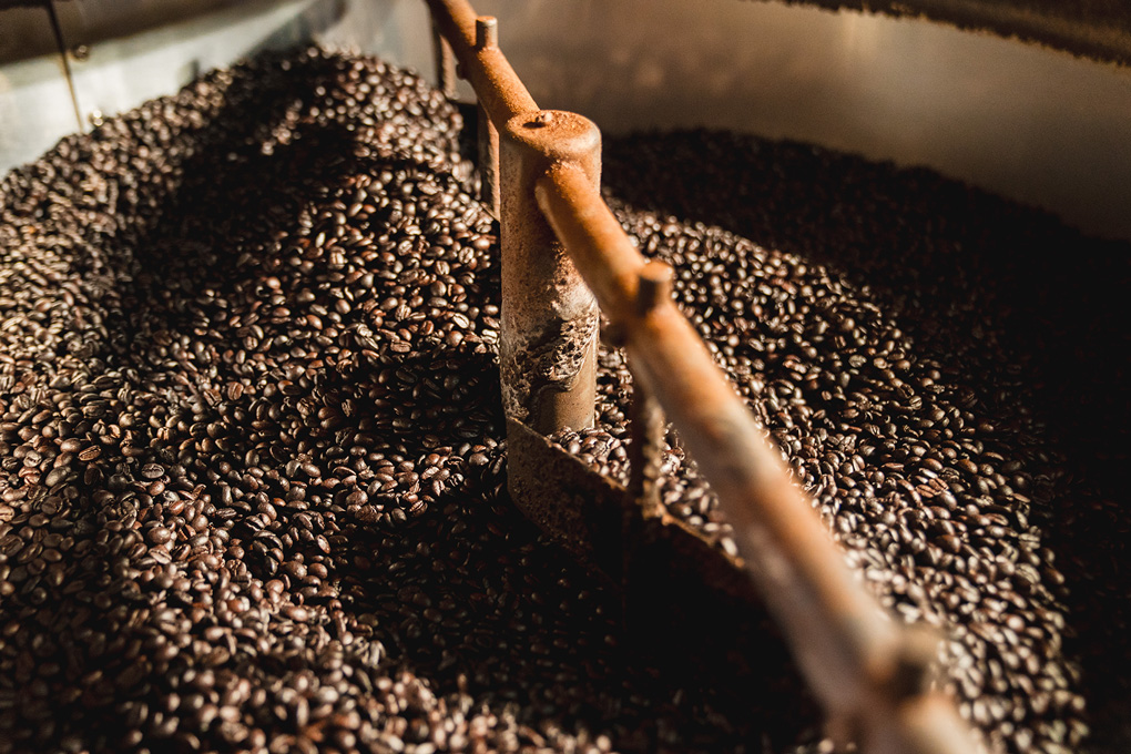 Ruta-del-Cafe-Nayarit