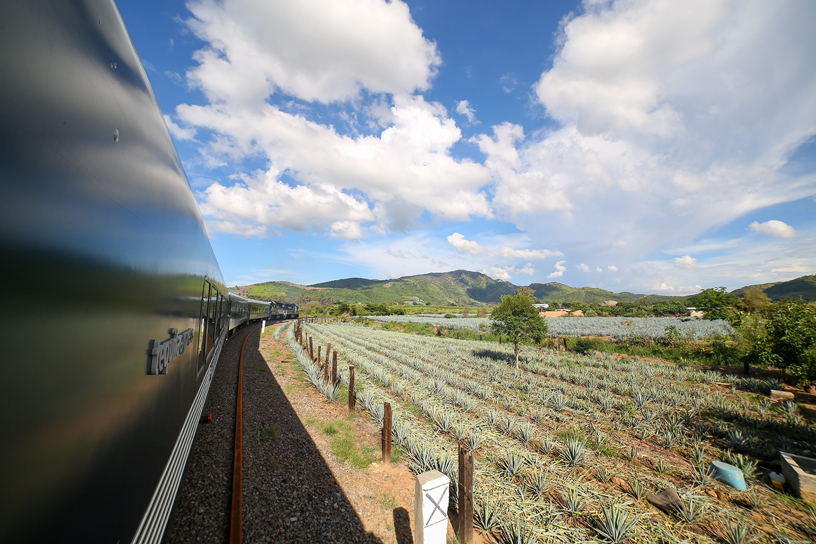 Ruta-del-Tequila-Jalisco