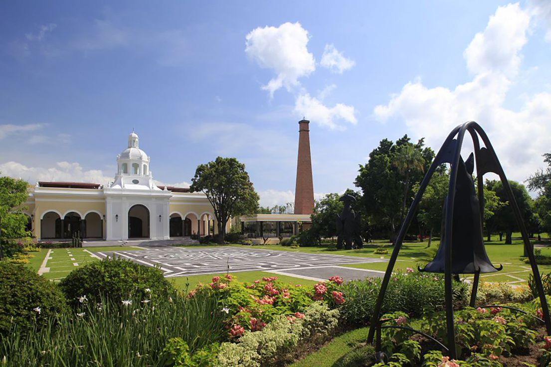Tequila-100-Imperdibles-México