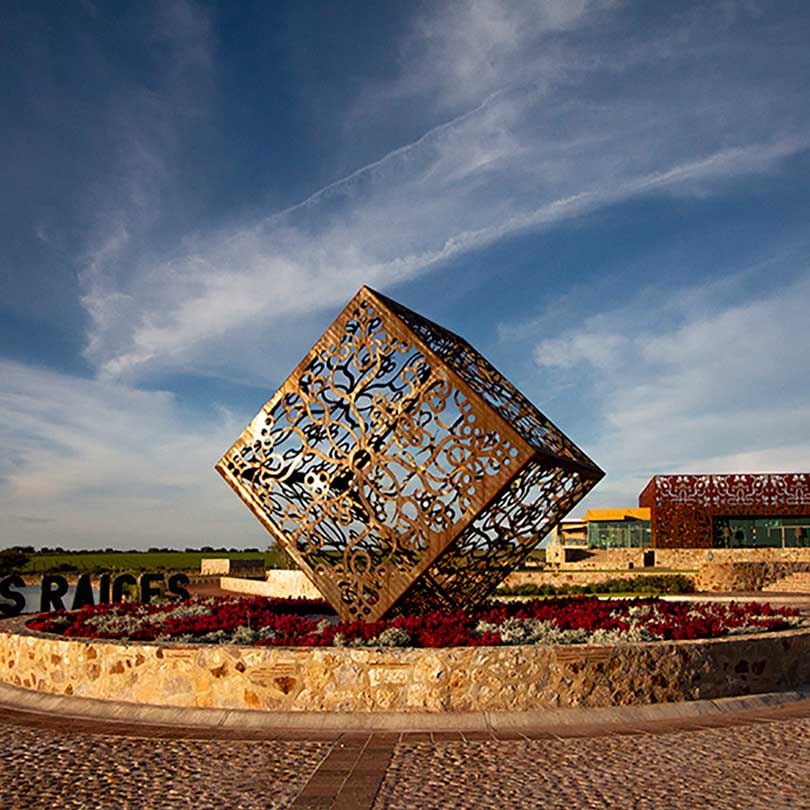 Viñedos-de-Guanajuato