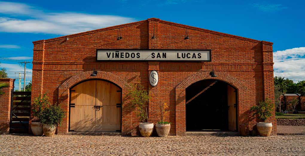 Viñedos-de-Guanajuato