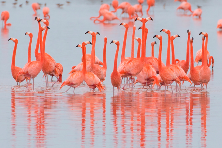 Yucatan-Turismo-de-Aventura