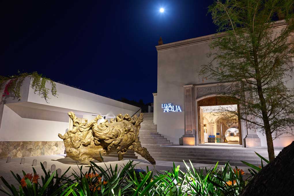 Live-Aqua-San-Miguel-Allende