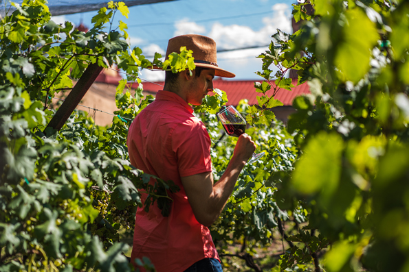 Casa-Vazqueño-Chihuahua