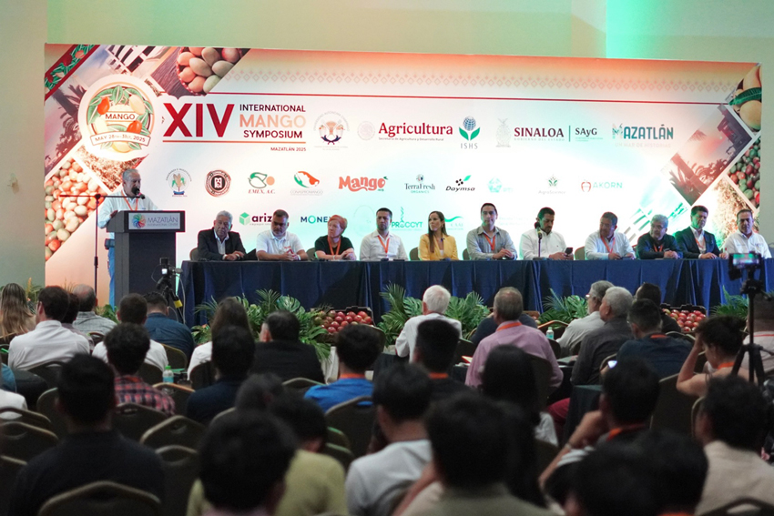 Sinaloa-Turismo-de-Reuniones