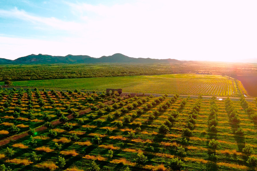 Food-Wine-Festival-Ciudad-Juárez